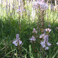 Pincha na imaxe para ampliar