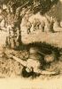 cuberta_atila-en-galicia_1937.jpg