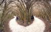 land-art_2.jpg