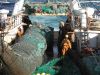 pesca_15.jpg
