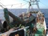 pesca_16.jpg