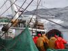 pesca_17.jpg