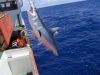 pesca_20.jpg